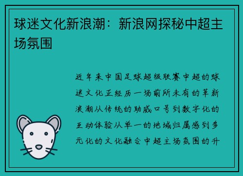 球迷文化新浪潮：新浪网探秘中超主场氛围